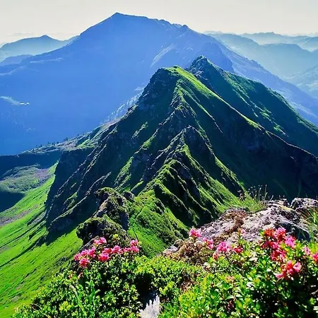 A Scenic Retreat Alpbach