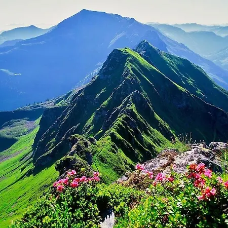 A Scenic Retreat Alpbach